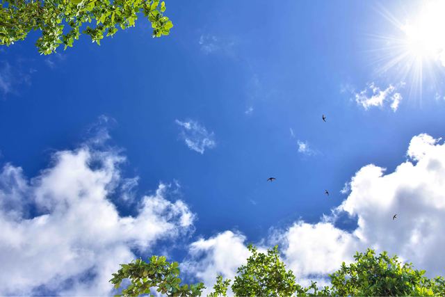 Wolkenplafond Springtime