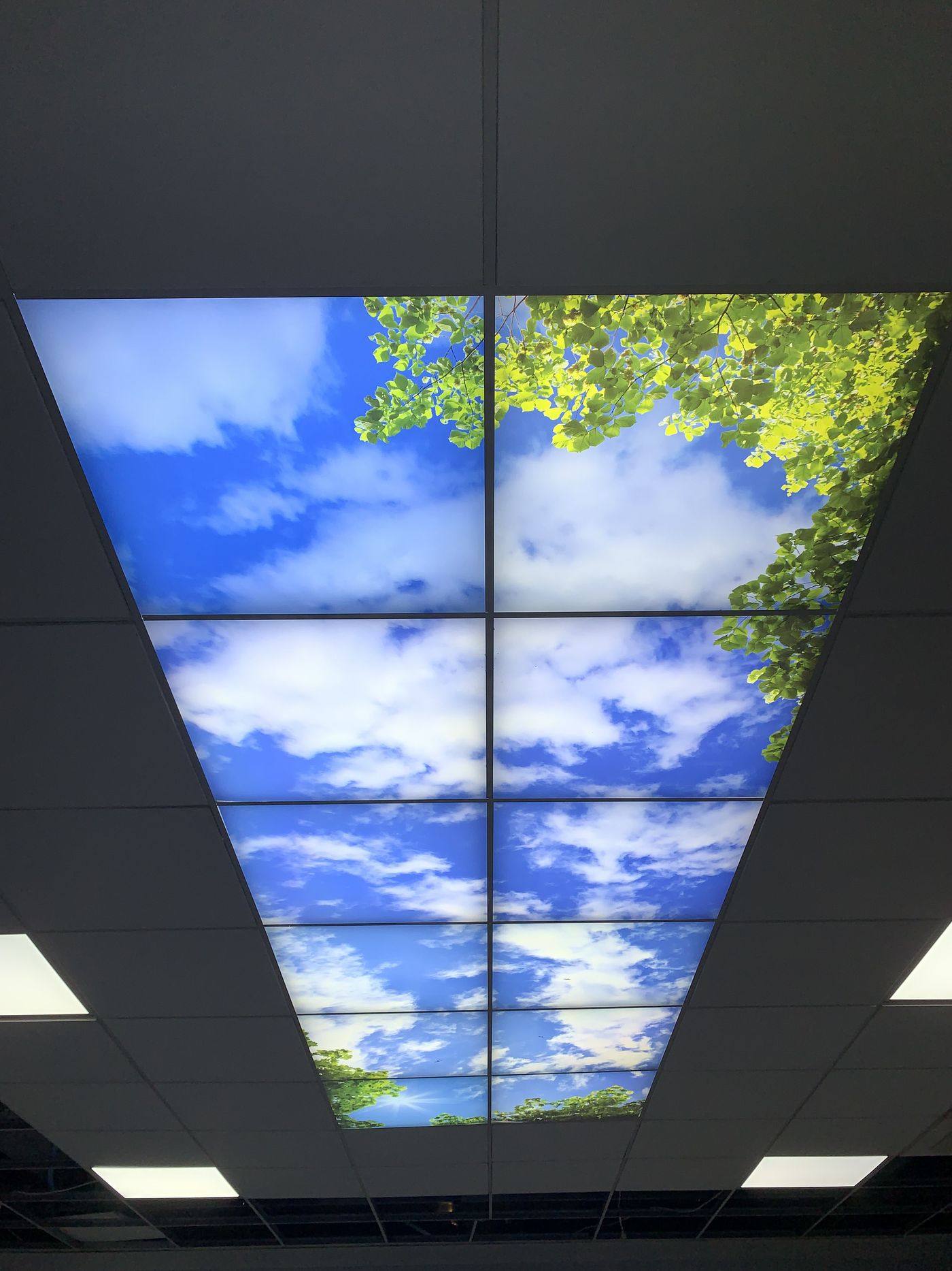 Wolkenplafond met bladeren