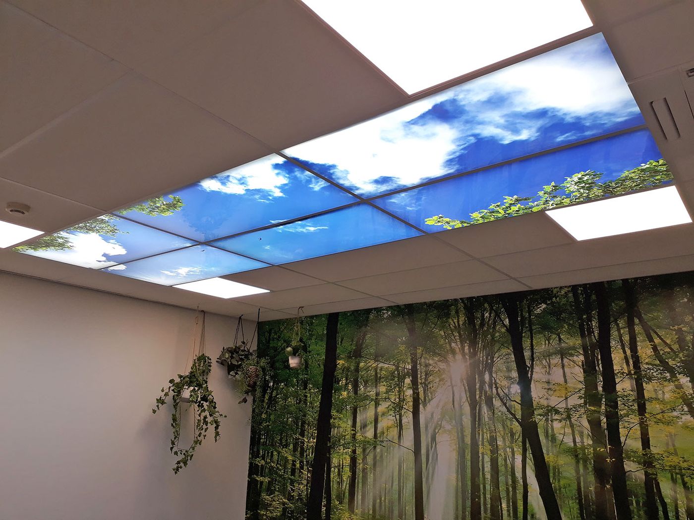 Wolkenplafond met bosfotowand